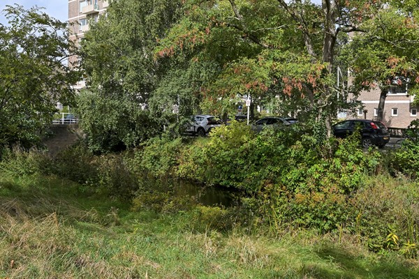 Medium property photo - Hart Nibbrigkade 64, 2597 XX Den Haag